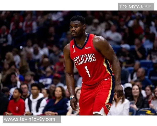 锡安防守表现令人失望专家直言他连尝试都不愿意