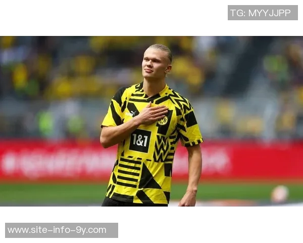 勒沃库森主帅盛赞哈兰德为世界顶级前锋埃切维里状态火热已做好上场准备